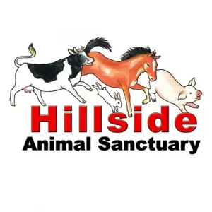 Hillside Animal Sanctuary