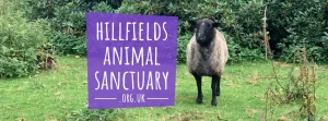 Hillfields Animal Sanctuary Header 03 5eje - Image 302 (April 26, 2026)