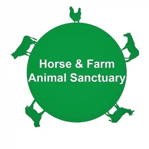 Horse And Farm Animal Sanctuary 08 5eje - Image 307 (April 26, 2026)