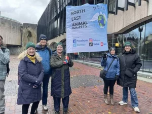 North East Animal Rights Header 07 5eje - Image 306 (April 26, 2026)