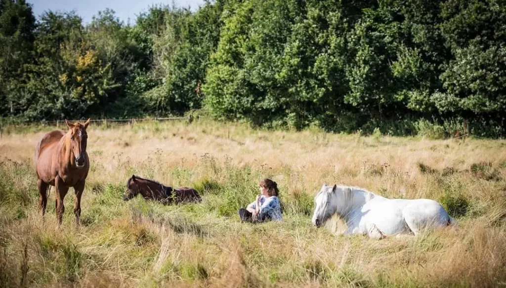 Springwood Sanctuary Header 13 5eje - Image 312 (April 26, 2026)