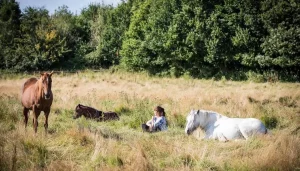 Springwood Sanctuary Header 13 5eje - Image 312 (April 26, 2026)