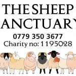 The Sheep Sanctuary - Image 01 (April 3, 2026)