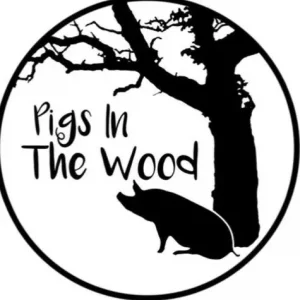 Pigs in the Wood - Image 02 (April 6, 2026)