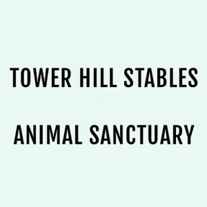 Tower Hill Stables Animal Sanctuary Copy 02 7pdm - Image 321 (May 15, 2026)