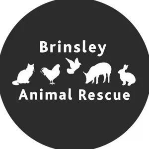 Brinsley Animal Rescue 12 Yrta - Image 349 (June 14, 2026)