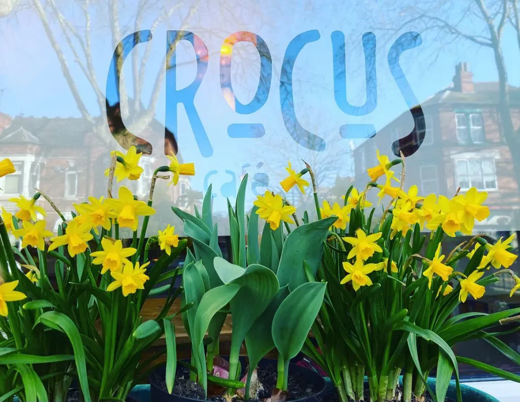 Crocus Cafe Header 10 Yrta - Image 347 (June 14, 2026)