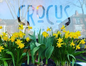 Crocus Cafe Header 10 Yrta - Image 347 (June 14, 2026)