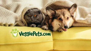 VeggiePets Header 04 M5eu - Image 464 (August 29, 2026)