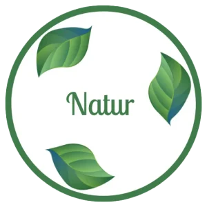 Natur Cosmetics - Image 01 (August 29, 2026)